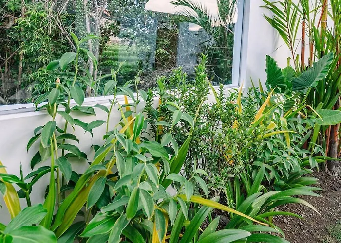 Villa Svasti - 5 Min To Beach, Tranquil Riverside Sanctuary